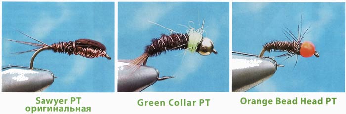 Sawyer 's Pheasant Tail