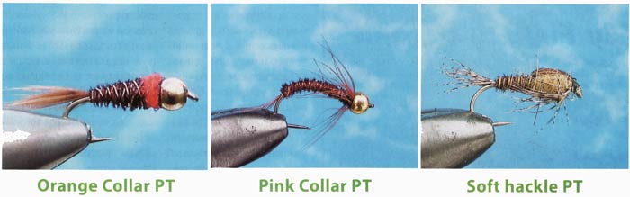 Sawyer 's Pheasant Tail